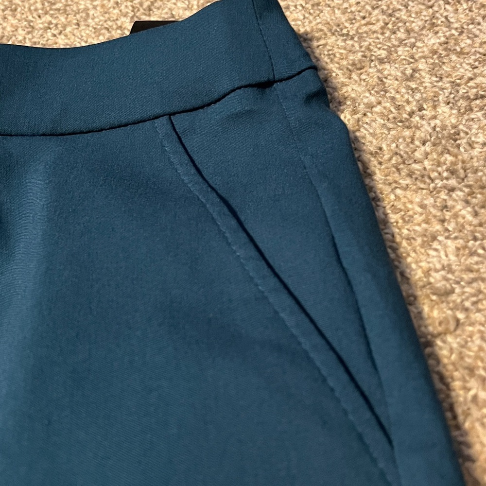 Counterparts Teal Pants with Gold Accents - Picture 3 of 11